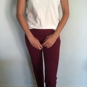 J Crew Winnie Pant